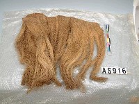 藏品(男用草裙)的圖片